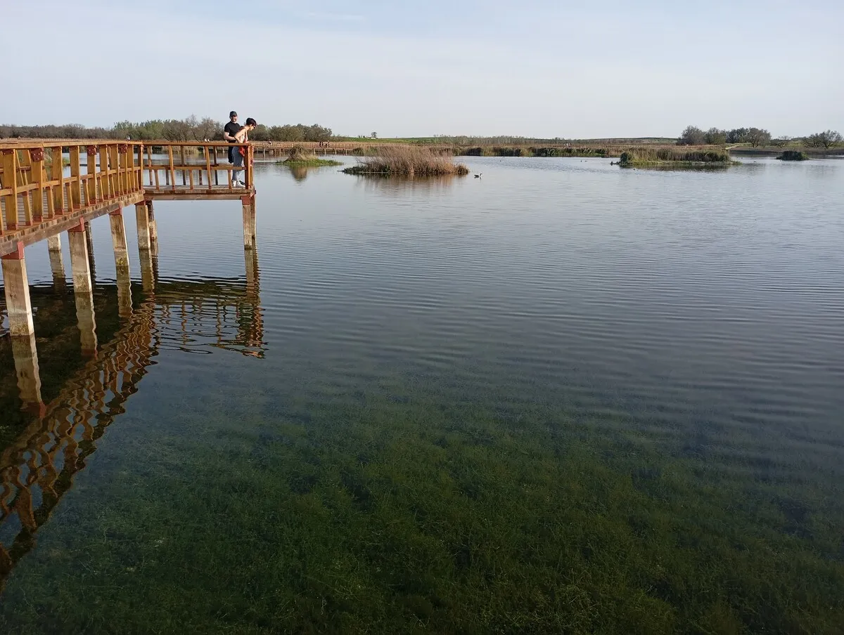 Pasarela de madera sobre las Tablas de Daimiel